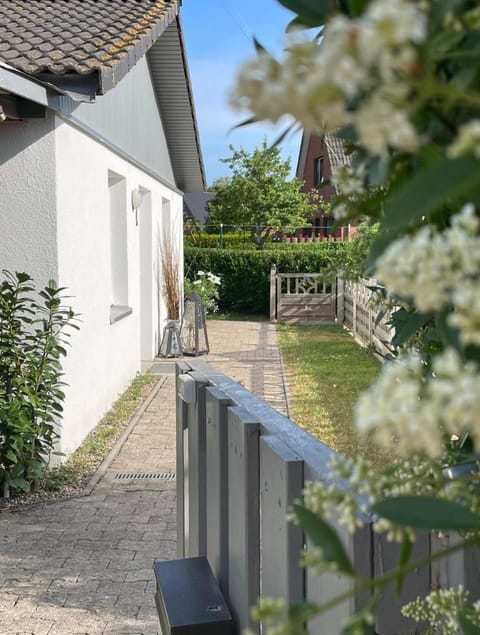 Property building, Day, Garden