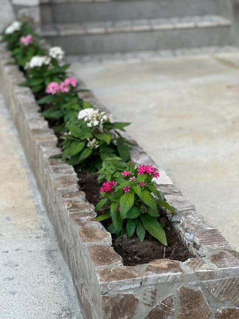 Apartments Sella Apartment in Ulcinj