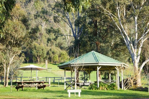 BBQ facilities, Garden, Garden view