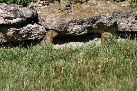 Carraig Nua House House in Door County