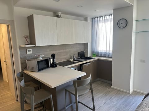 Kitchen or kitchenette, minibar, pet friendly, stove