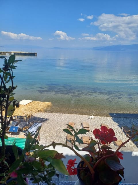 Hotel Justinian Hotel in North Macedonia