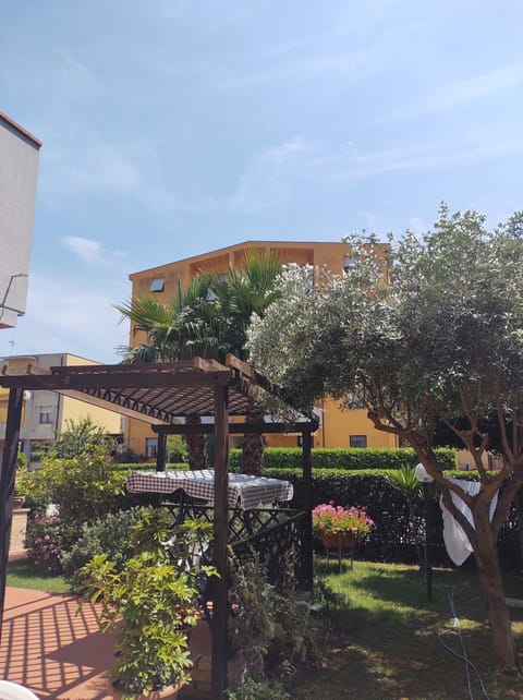 Garden, Garden, Garden view