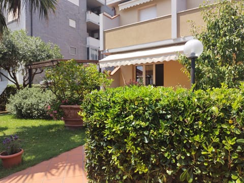 Property building, Garden, Garden, Garden view