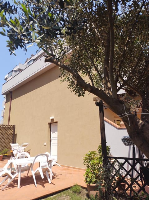 Property building, Garden, Garden view