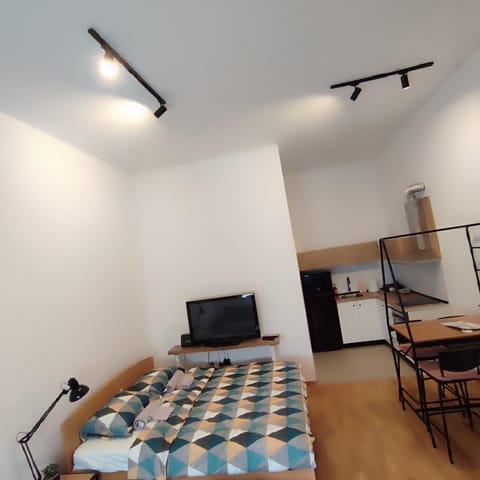 VIOLIN Apartment in Novi Sad