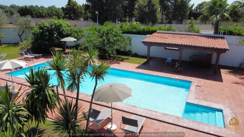 Garden, Swimming pool