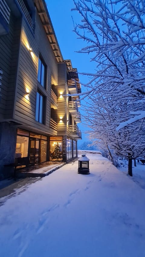 Property building, Natural landscape, Winter