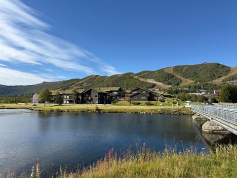 Day, Natural landscape, River view