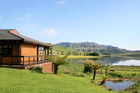 Day, Natural landscape, Garden view