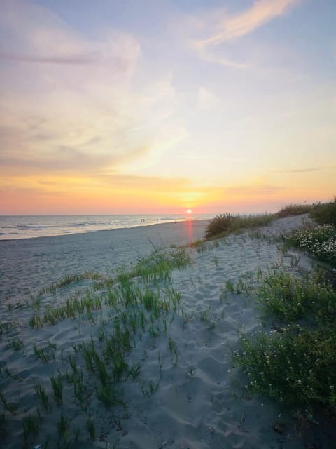 La Stella Sea House House in Torvaianica
