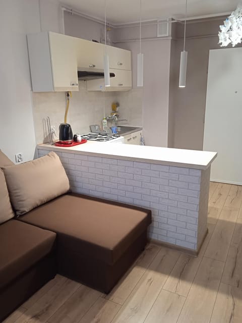 Kitchen or kitchenette, Seating area, stove