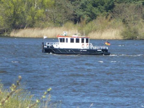 Natural landscape, Fishing, Beach, Sports