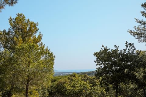 Day, Natural landscape, Sea view