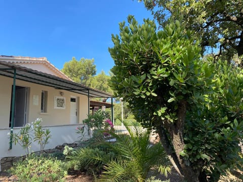 Property building, Day, Garden, Lobby or reception