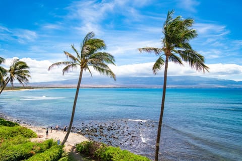 Island Sands 311 Apartment in Maalaea