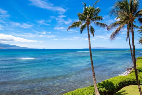Island Sands 311 Apartment in Maalaea