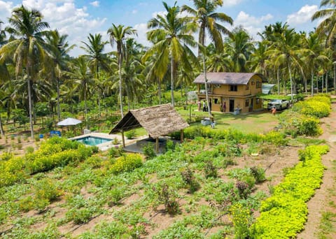 Property building, Spring, Day, Natural landscape, Garden, Garden view