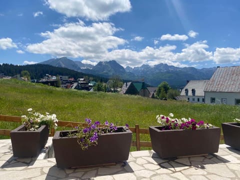 Divine House Villa in Montenegro