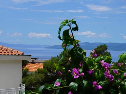 apartments "san" Apartment in Makarska