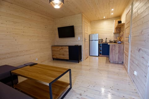 Communal lounge/ TV room, TV and multimedia, Kitchen or kitchenette, Living room, pet friendly, stove