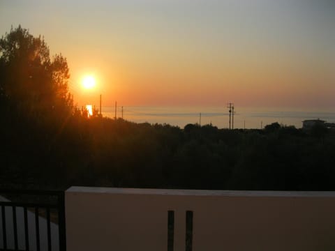 Sea view