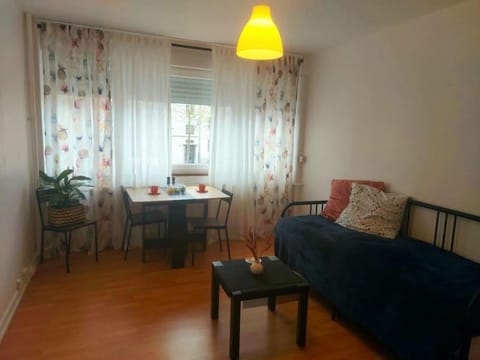 Studio lumineux Apartment in Strasbourg