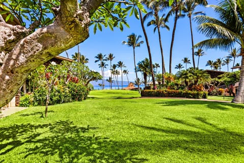 Napili Shores F150 Apartment in Kapalua