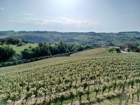 Casa Vacanza Dany House Apartment in Liguria