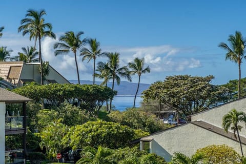 Hale Kamaole 332 Apartment in Wailea