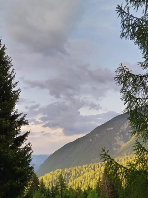 Appartamento I Larici Apartment in Trentino-South Tyrol