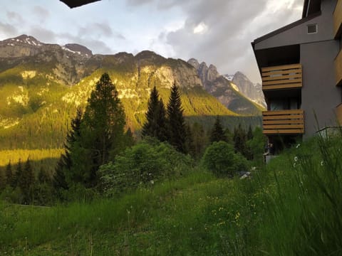 Appartamento I Larici Apartment in Trentino-South Tyrol