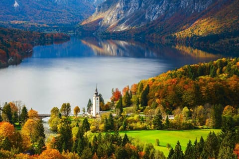 Lake view