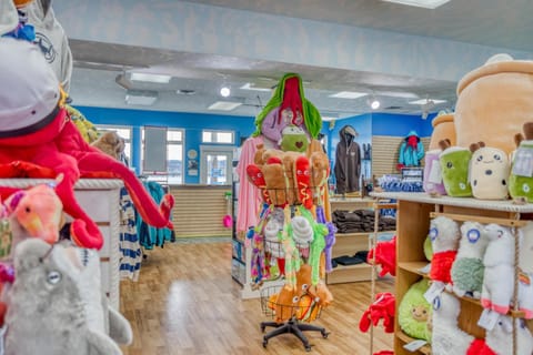 Surfer Dude - Anchor Pier Lodge Hotel in Newport