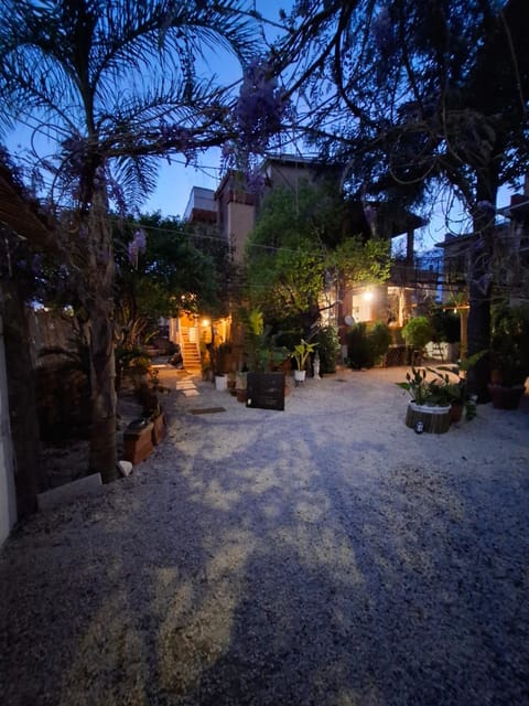 Natural landscape, Garden view