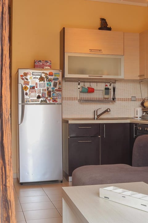 Kitchen or kitchenette, pet friendly