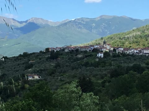 Natural landscape