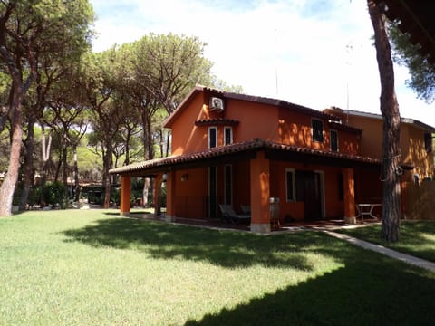 Property building, Patio, Garden