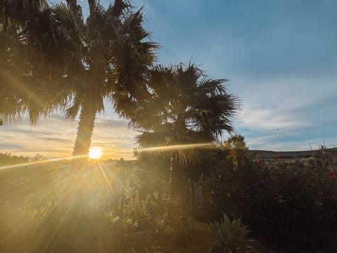 View (from property/room), Sunset