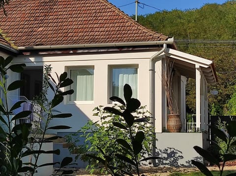 Property building, Day, Garden