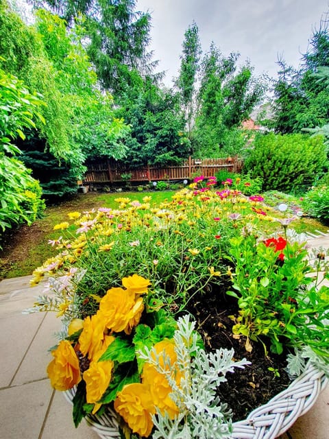 Garden, Balcony/Terrace, Garden view