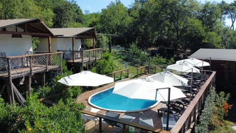 Natural landscape, Garden, Garden view, Pool view, Swimming pool, sunbed