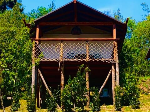 AgriGlamping La Diaccia Luxury tent in Emilia-Romagna