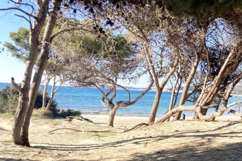 Day, Natural landscape, Beach, Sea view