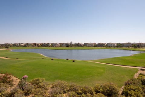 Lake view
