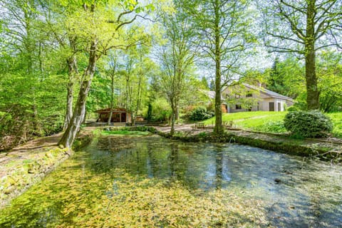 Property building, Natural landscape, Garden, River view