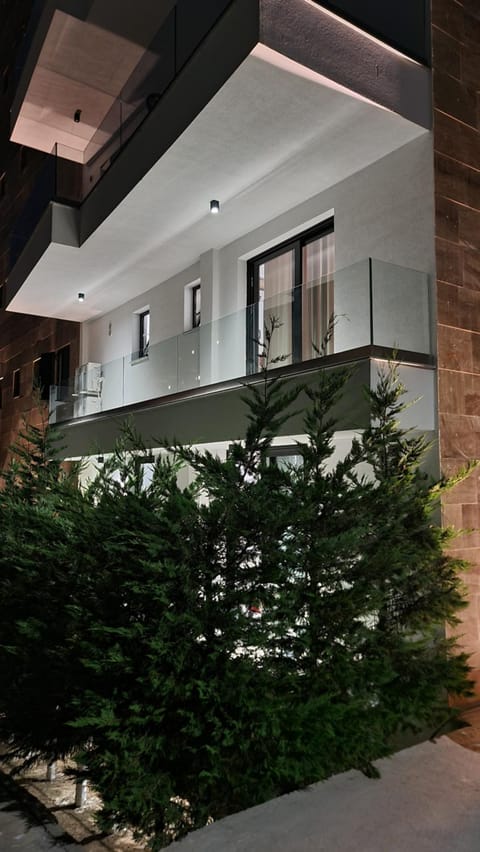 Property building, Night, Garden
