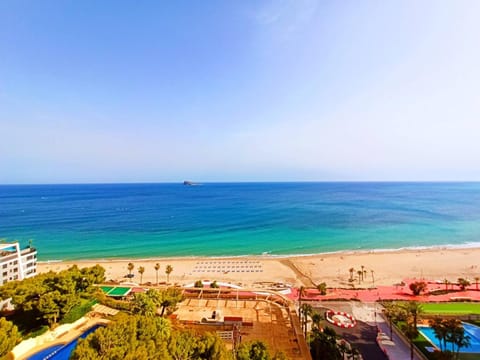 City view, Sea view