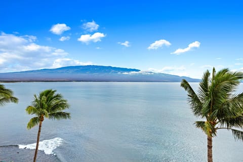 Island Sands 609 Apartment in Maalaea