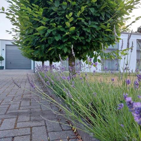 Vakantiewoning De Papendaler House in Flanders